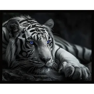 Bönninghoff Bild mit Rahmen "TIGER MIT BLAUEN AUGEN 40x50 cm – Tierbild Natur Wanddeko", farbe rahmen: schwarz, farbe bild(er): schwarz, weiß, blau,