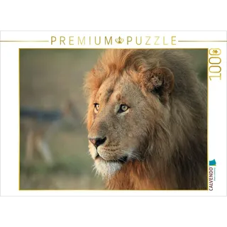 CALVENDO Puzzle Löwen – Morgenspaziergang 1000 Teile Puzzle quer | Lege-Größe cm Foto-Puzzle für glückliche Stunden