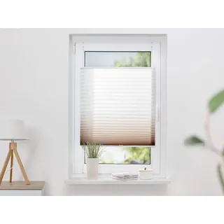 K-HOME Plissee Farbverlauf 30 x 130 cm braun/weiß