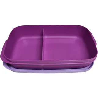 Tupperware to Go Lunchbox Clevere Pause 590ml mit Trennwand Eco+ Schule abgeteilt Brotdose mit Abteilung Twin Sandwichbox violett lila 590 ml