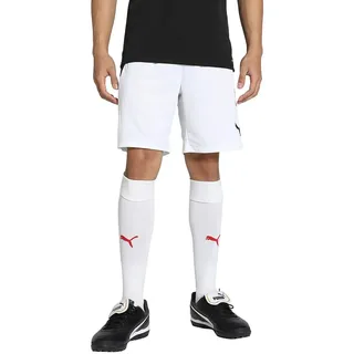 Puma teamLIGA Shorts