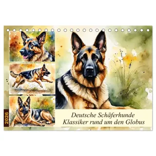 Calvendo Deutsche Schäferhunde - Klassiker rund um den Globus (Tischkalender 2026 DIN A5 quer), CALVENDO Monatskalender: Freund und Helfer des Menschen (CALVENDO Tiere)