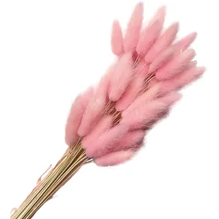 FUYTSUO 50 Stück Trockenblumen Klein Pampasgras, 43 cm Hasenschwanzgras Getrocknet Pampasgras Deko, Pampas Gras Trockenblumen Klein Pampas Gras für Deko Wohnzimmer Hochzeit (Rosa)