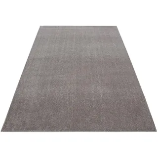 Ayyildiz Ata Kurzflorteppich 160 x 230 cm beige