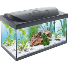 Bild Starter Line 54 L Aquarium Komplett-Set - inkl. Tag- & Nachtlicht LED-Beleuchtung, Innenfilter, Heizer, Fischfutter und Wasseraufbereiter
