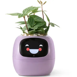 PLANTSIO Intelligenter Haustier-Pflanzgefäß, Roboter-Anleitung zur Pflanzenpflege mit Emojis, Bezaubernder Pflanzenbegleiter mit reichhaltiger Gesten-Interaktion, ordentliches Geschenk für den