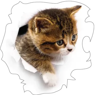Ambiance Wandtattoo, selbstklebend, für Schlafzimmer, Kinderzimmer und Wohnzimmer, Katze im Versteck, 65 x 65 cm