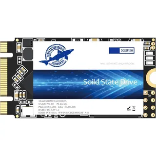 Dogfish SSD M.2 2242 250GB Solid State Drive Ngff Internen Desktop Computer 6Gb/s High Performance Festplatte Für Desktop Laptop (250GB, M.2 2242)