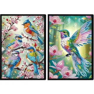 DCIDBEI 2 Pack Diamond Painting Notizbuch A5 Blanko Diamant Painting Notizbücher Diamant Malerei Diamonds Geheimes Tagebuch Skizzenbuch für Erwachsen Sketchbook Vögel und Blumen Kolibri