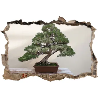Pixxprint 3D_WD_1555_92x62 Kleiner Bonsai Wanddurchbruch 3D Wandtattoo, Vinyl, bunt, 92 x 62 x 0,02 cm