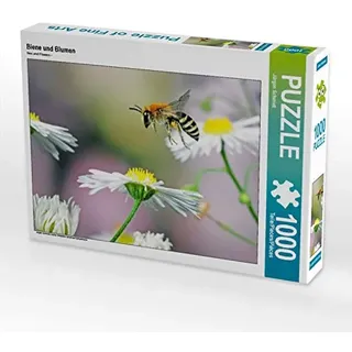 Calvendo Puzzle Biene und Blumen 1000 Teile Puzzle quer | Lege-Größe cm Foto-Puzzle für glückliche Stunden