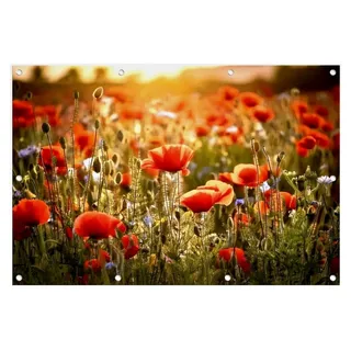XXL Garten-Poster 120x80cm, wetterfestes Outdoor-Poster, Bild, Garten-Deko, Gartenbild, Wanddeko für draußen, Outdoor-Deko, Blumenwiese, rote Mohnblumen, Frühling, Sommer