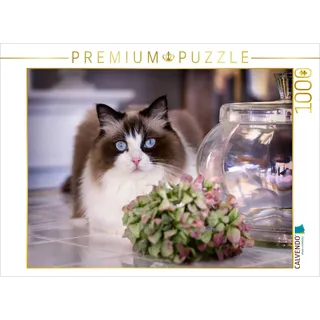 CALVENDO Puzzle Ein Motiv aus dem Kalender Samtpfoten Momente mit Shabby Chic & Vintage Flair | 1000 Teile Lege-Größe 64x48cm Foto-Puzzle für glückliche Stunden