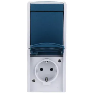 Busch-Jaeger Schuko-Steckdose 2 St. Blau/Grau
