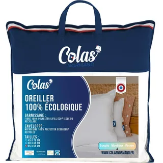 COLAS NORMAND Kissen, umweltfreundlich, 65 x 65 cm, Umschlag und Füllung aus recycelten Flaschen, Mikrofaser, weich, seidig und komfortabel, sorgfältige Verarbeitung