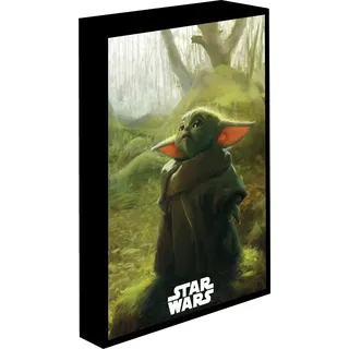 LED-Bild 30x40 cm, Star Wars