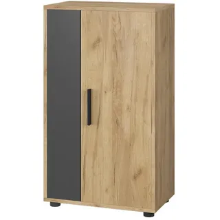 Vicco Kommode Berno Goldkraft Eiche/Anthrazit 50.1 x 87.3 cm mit 2 Fächern , Holzwerkstoff , Rechteckig , 50.1x87.3x28.3 cm , Kleinmöbel, Kommoden, Kommoden