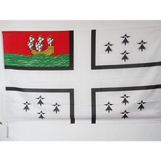 AZ FLAG Flagge Stadt VON Nantes 150x90cm - Nantes Fahne 90 x 150 cm Scheide für Mast - flaggen Top Qualität