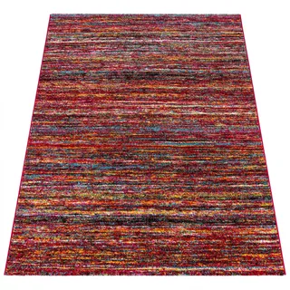 Paco Home Passion 221 Kurzflorteppich 80 x 150 cm Mehrfarbig