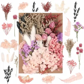 ANLIOTO Mini Trockenblumen Klein Rosa, Trockenblumen zum Basteln Getrocknete Blumen Dried Flowers für Hochzeit, Deko