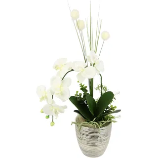 I.GE.A. »Arrangement Orchidee/Gras« Topf aus Keramik,