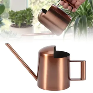 Gießkanne Zimmerpflanzen 300ml Mini Gießkanne: HOMURY Edelstahl Gießkanne mit Langen Hals Metall, Edelstahl Gießkanne klein Garten Gießkanne für Topfpflanzen/Hängepflanzen Home Büro (Bronze)