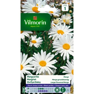Vilmorin 5217241 Chrysanthemum Grande Margerite, Weiß, 90 x 2 x 160 cm