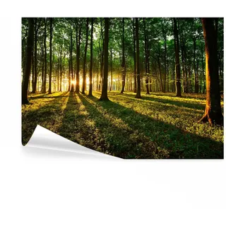 decomonkey Fototapete Wald Landschaft, 350x256 cm, XXL, Natur, Tapete | Sonnenuntergang, Wandbild, Bild, Fototapeten, Tapeten, Wandtapete