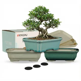 FFPOPU Bonsai-Topf aus Keramik mit Abtropfschale, 3 Picks, 15,2 cm, mit eisrissiger Glasur, Mini-Bonsai-Pflanztopf zur Dekoration von Zwergbäumen, Sukkulenten und kleinen Pflanzen