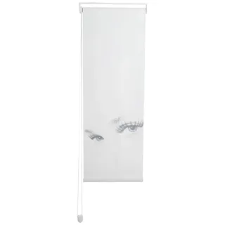 Startex 01560 DS 5041 digital bedrucktes Kettenzugrollo mit Wand und Deckenmotage, 140 x 45 cm