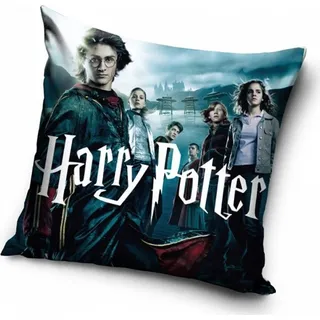 Harry Potter Kissenbezug, 40 x 40 cm, Polyester, quadratisch, HP214031