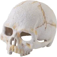 Exo Terra Primate Skull, Terrariumeinrichtung