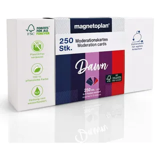 Magnetoplan Moderationskarten Dawn 200 x 100 cm, 250 St.