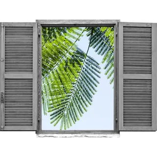 queence Wandtattoo »Mimoseblätter« Wandsticker, Wandbild, selbstklebend, 3D, Fenster, grün