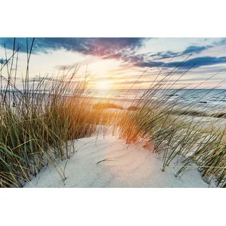 Papermoon Fototapete »Dünen bei Sonnenuntergang«, bunt