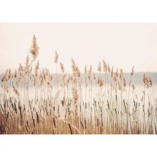 Magnetmatte für Heizkörperverkleidung, Beige Boho Reed, 60x100cm - Beige