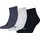 Socken Quarter Plain 3P 3 Paare Blau/Grau 35-38