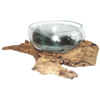Deko Glasschale Ø 30 cm Obstschale Blumenschale auf Wurzel-Holz, Vase Schale mit Treib-Holz Dekovase Dekoschale charakteristische Dekoration