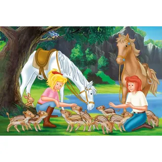 Schmidt Spiele Bibi & Tina Am Steinbruch (56050)