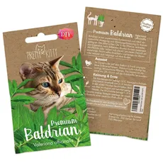 Baldrian Samen: Premium Baldrian Samen für Katzen für ca. 50 Baldrian Pflanzen Winterhart – Ideal für Katzenspielzeug, Katzen Futter und Baldriankissen Katze – Pflanzen Katzen von PRETTY KITTY