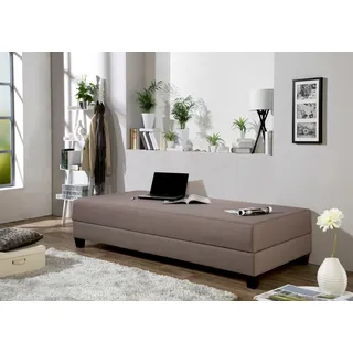 Maintal Gästebett mit Bettkasten, grau