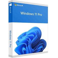 Bild von Windows 11 Pro ESD DE