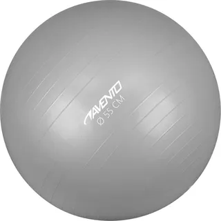 Avento Gymnastikball Silber 55 cm