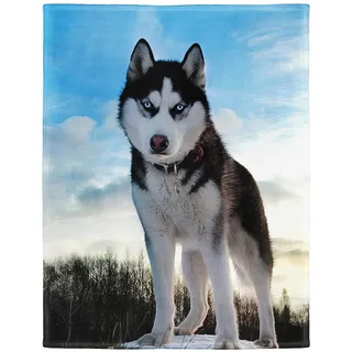 YISUMEI Decke 150x200 cm Kuscheldecken Sanft Flanell Weich Fleecedecke Bettüberwurf weiße Schwarze heisere Husky Hunde