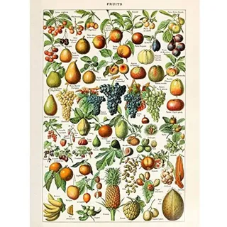 Artery8 Millot Nature Enzyklopädie Seite Frucht Traube Ananas Ungerahmter Druck 30x40 cm