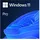 Windows 11 Pro 64-Bit OEM IT