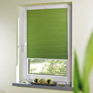 Liedeco Plissee »Klemmfix-Thermo-Plissee« Lichtschutz ohne Bohren verspannt, grün