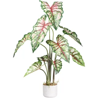 Creativ green Künstliche Zimmerpflanze »Syngonium« mit außergewöhnlichem Blattwerk, grün