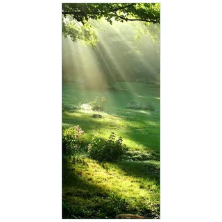 posterdepot Türtapete Türposter Sonnenstrahlen im Wald - Größe 93 x 205 cm, 1 Stück, ktt0012
