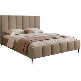 Selsey Polsterbett Sarafino Dunkelbeige Samt 160x200 cm , Textil , 160x200 cm , Schlafzimmer, Betten, Polsterbetten